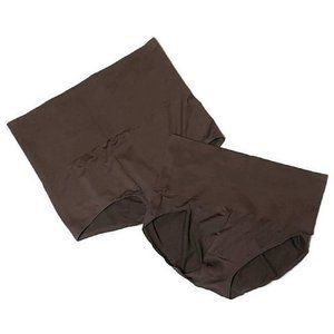 Yummie Seamless Shaping Brief/Girlshort/Laundry Bag 2X/3X CHOCOLATE